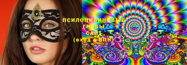 МДПВ Алзамай