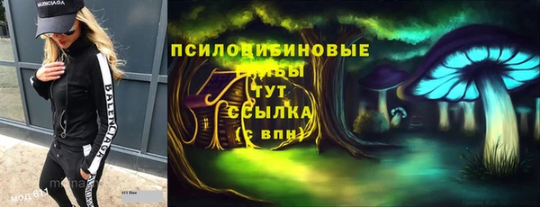 героин Алексин