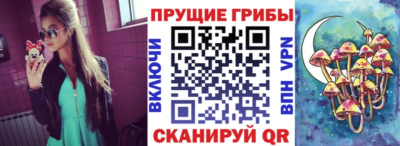 где купить Берёзовский Галлюциногенные грибы мухоморы